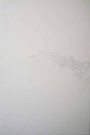 Dermis pattern, 2006