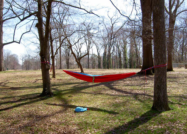 Parallax Hammock Full size