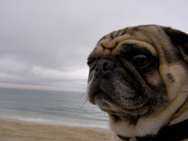 Carlos loves the Beach