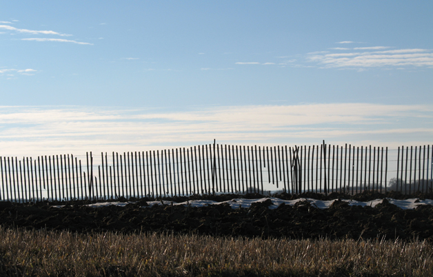 Midwest Horizon