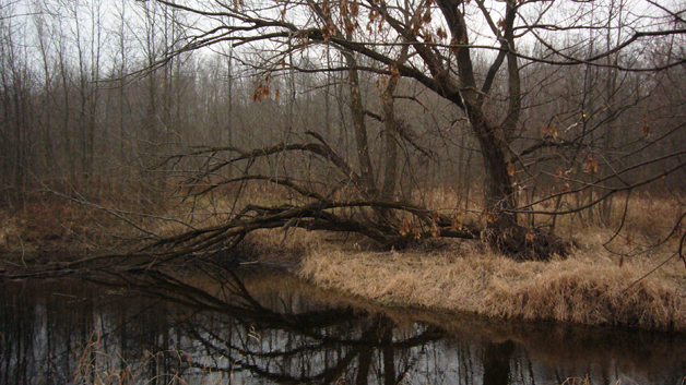 Laura Palmer River