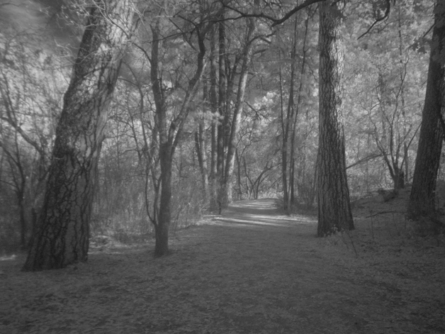 Enchanted Forest, Bandolier, NM