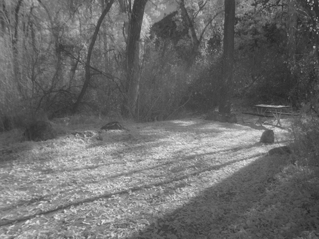 A Lonely and Inviting Picnic Table, Bandolier, NM